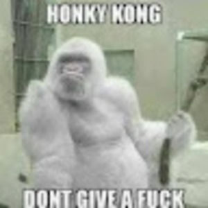 Meet your Posher, Honky